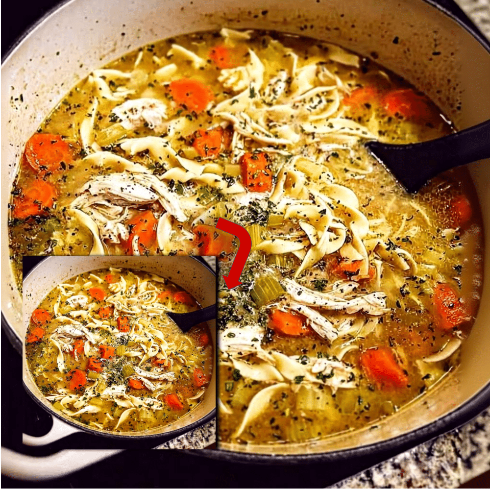 Best Homemade Chicken Noodle Soup Recipe