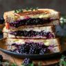 Blackberry Balsamic Grilled Cheese (Easy Gourmet Recipe)