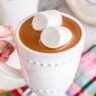 Creamy Crockpot Hot Chocolate Recipe (Easy 6-Ingredient Batch)