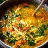 Curried Chicken Lentil Soup Recipe with Rice & Spinach