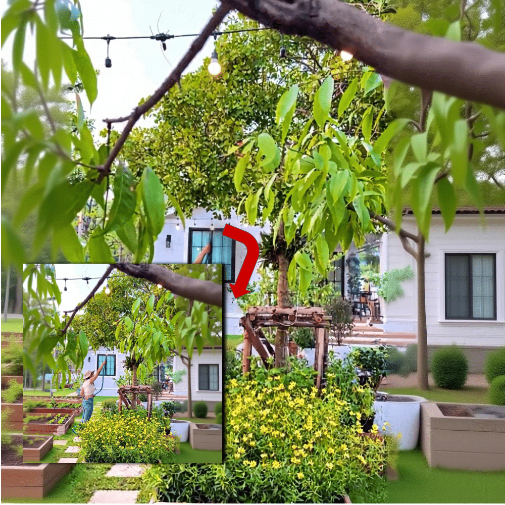 German Garden Tradition: A Year-Round Harvest Guide