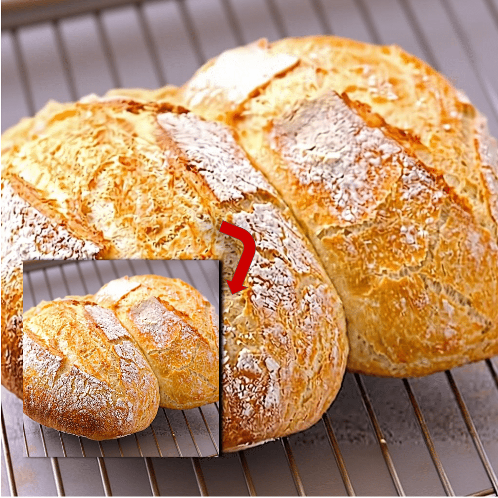 No-Knead Homemade Bread: Easy Crusty Dutch Oven Recipe