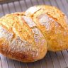 No-Knead Homemade Bread: Easy Crusty Dutch Oven Recipe
