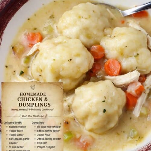 Homemade Chicken and Dumplings Recipe (Grandma's Fluffy Style)