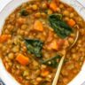 One Pot Lentil Soup: Easy Hearty Stew