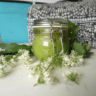 Wild Garlic Nettle Pesto: Easy Foraged Recipe