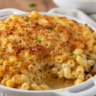 Classic Macaroni and Cheese Bake Recipe