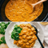 Easy Slow Cooker Creamy Indian-Inspired Curry