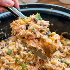 Creamy Slow Cooker Mexican Shredded Chicken Recipe 4 Creamy Slow Cooker Mexican Shredded Chicken Recipe