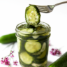 Quick and Easy Fridge Pickles: No Canning Required